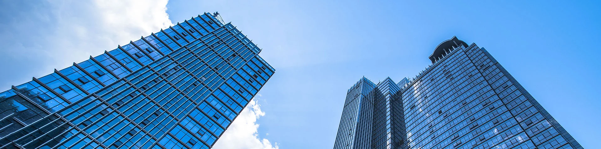 Acerca de la empresa