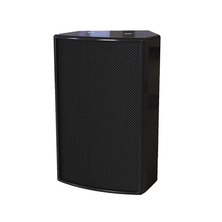 Altavoz pasivo de 6 pulgadas